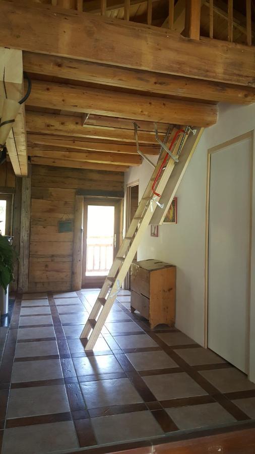 Magnifique Chalet Dans La Vallee De Chamonix 塞尔沃兹 外观 照片
