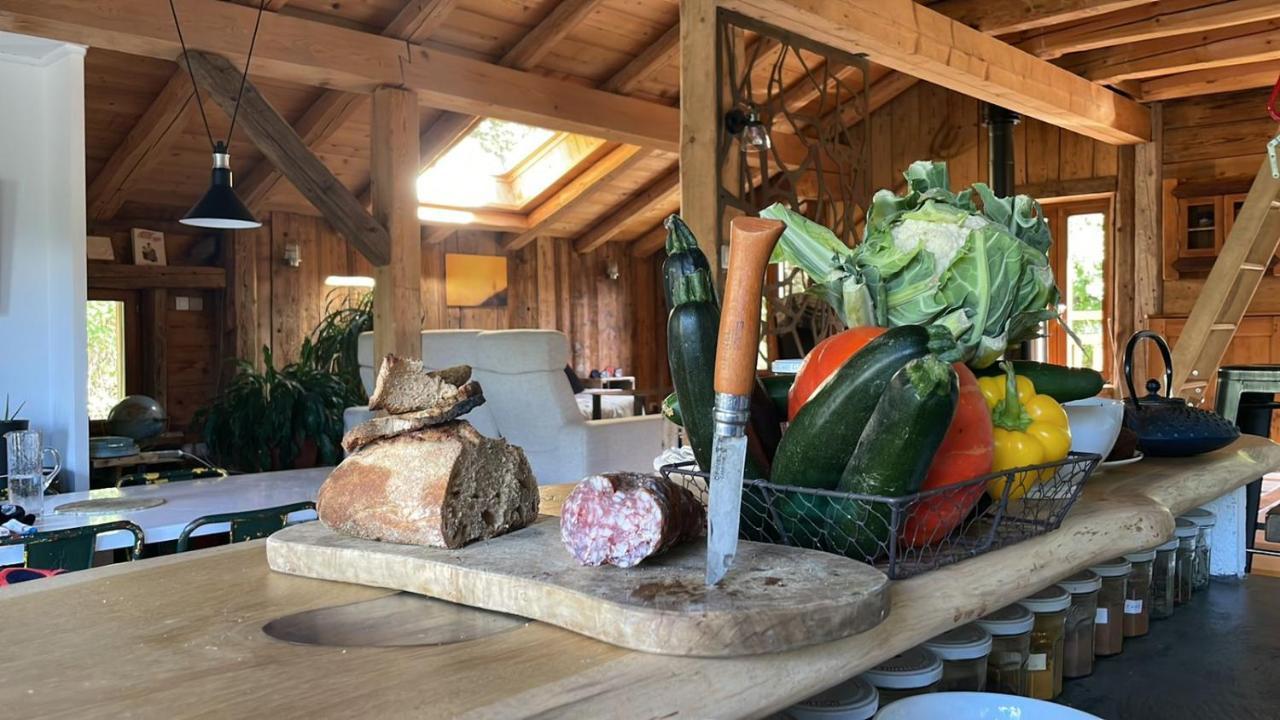 Magnifique Chalet Dans La Vallee De Chamonix 塞尔沃兹 外观 照片