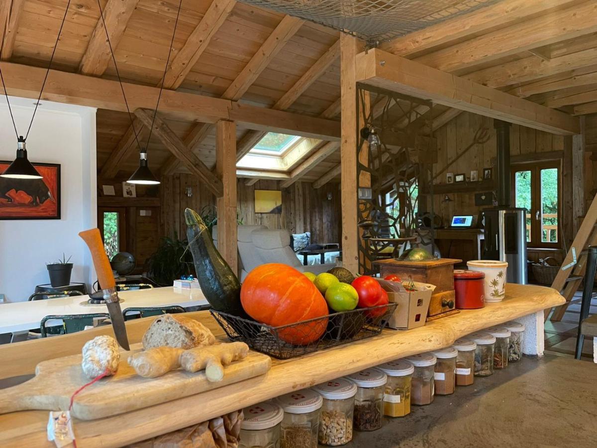 Magnifique Chalet Dans La Vallee De Chamonix 塞尔沃兹 外观 照片