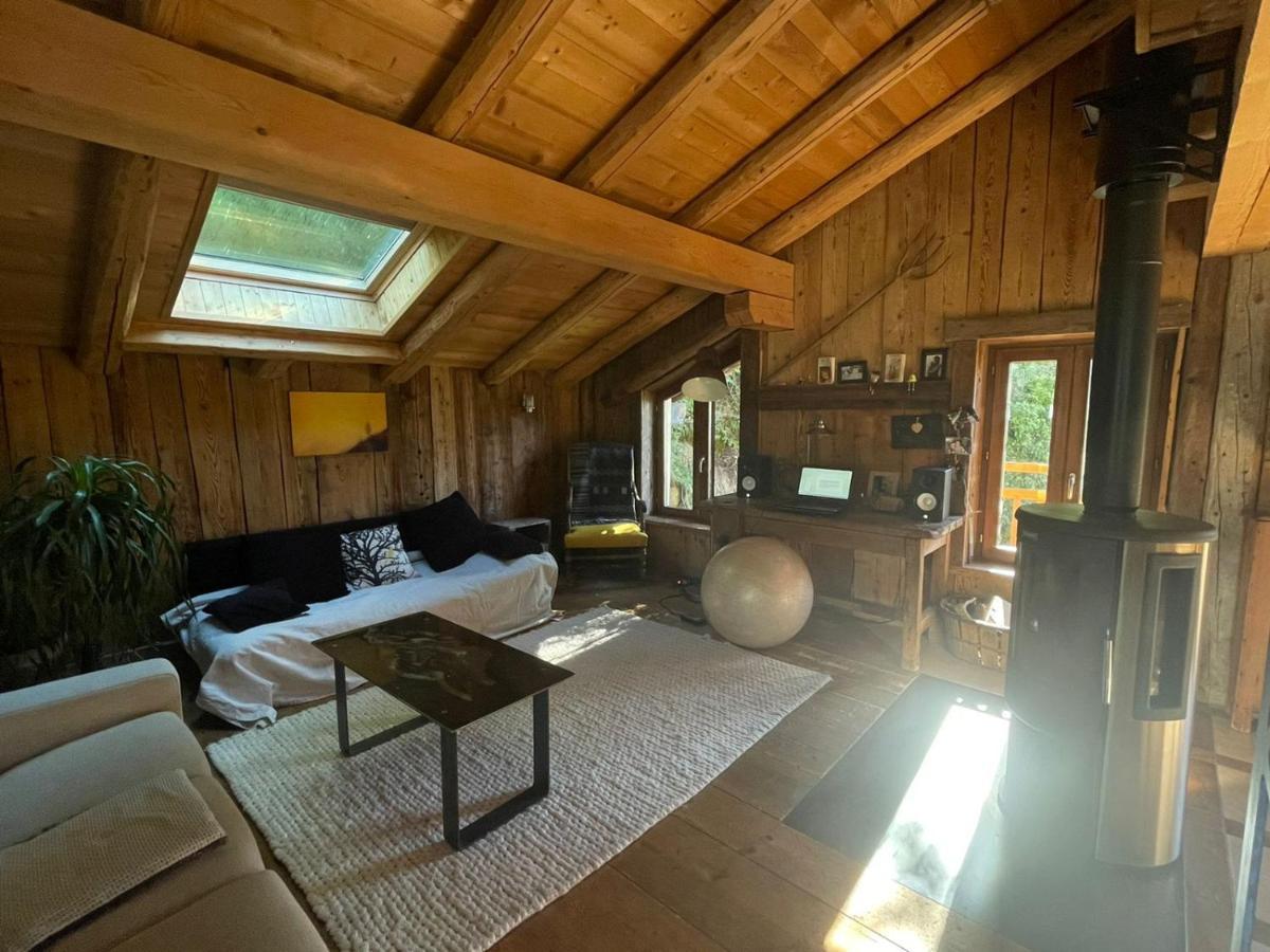 Magnifique Chalet Dans La Vallee De Chamonix 塞尔沃兹 外观 照片
