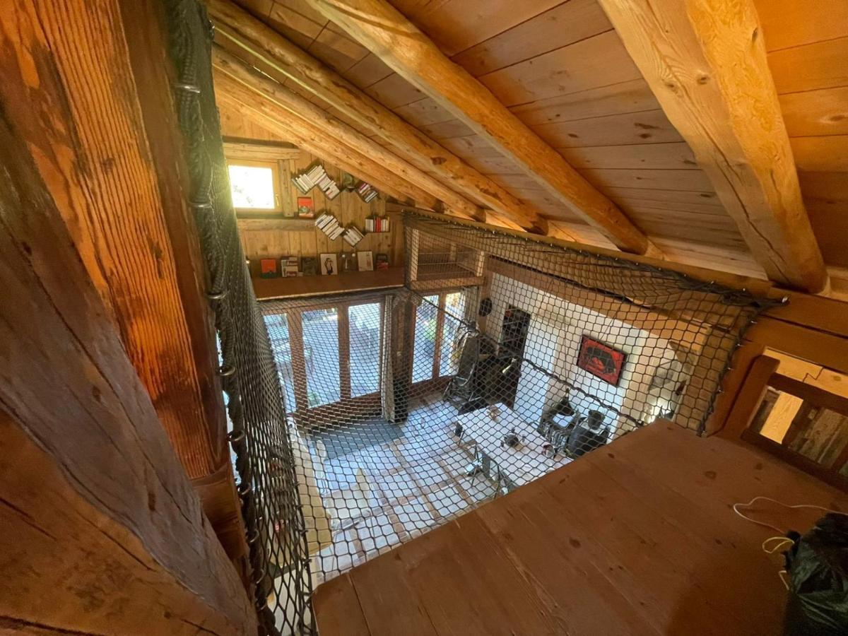 Magnifique Chalet Dans La Vallee De Chamonix 塞尔沃兹 外观 照片